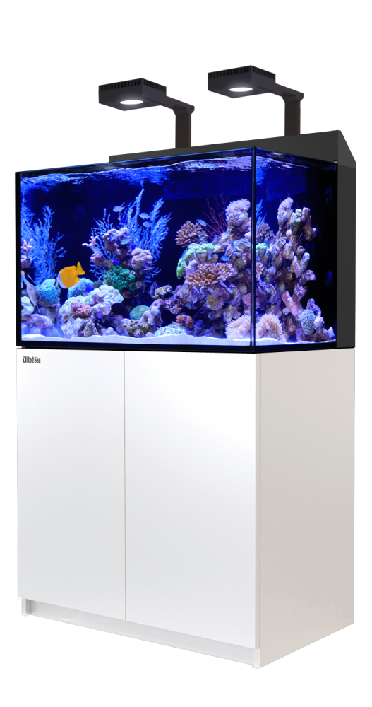 Red Sea E 260 Meerwasseraquarium Komplettset